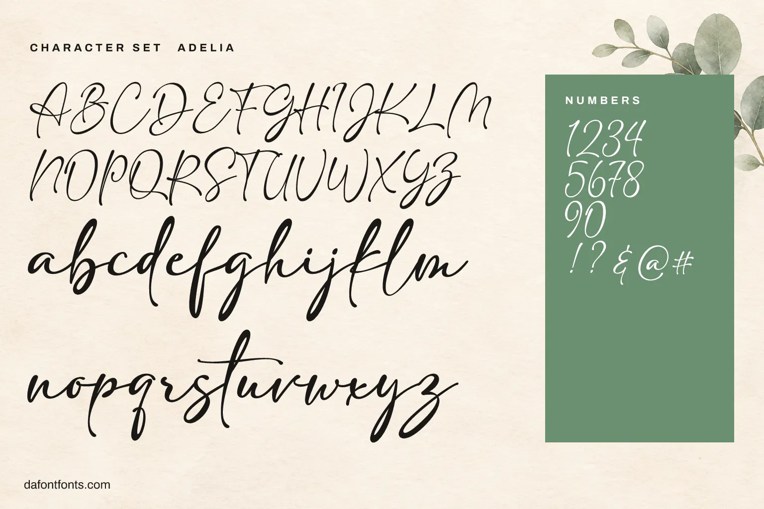 Adelia character set: alphabet, numbers and symbols