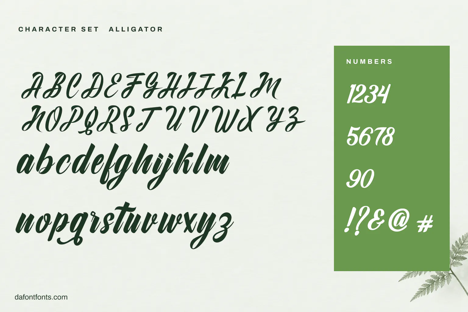 Alligator character set: alphabet, numbers and symbols