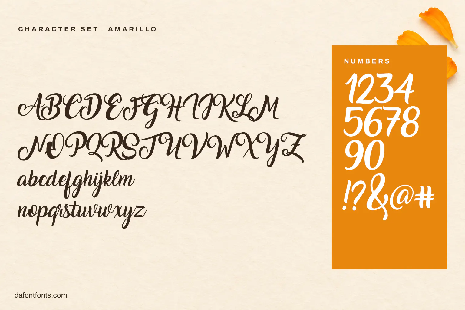 Amarillo character set: alphabet, numbers and symbols