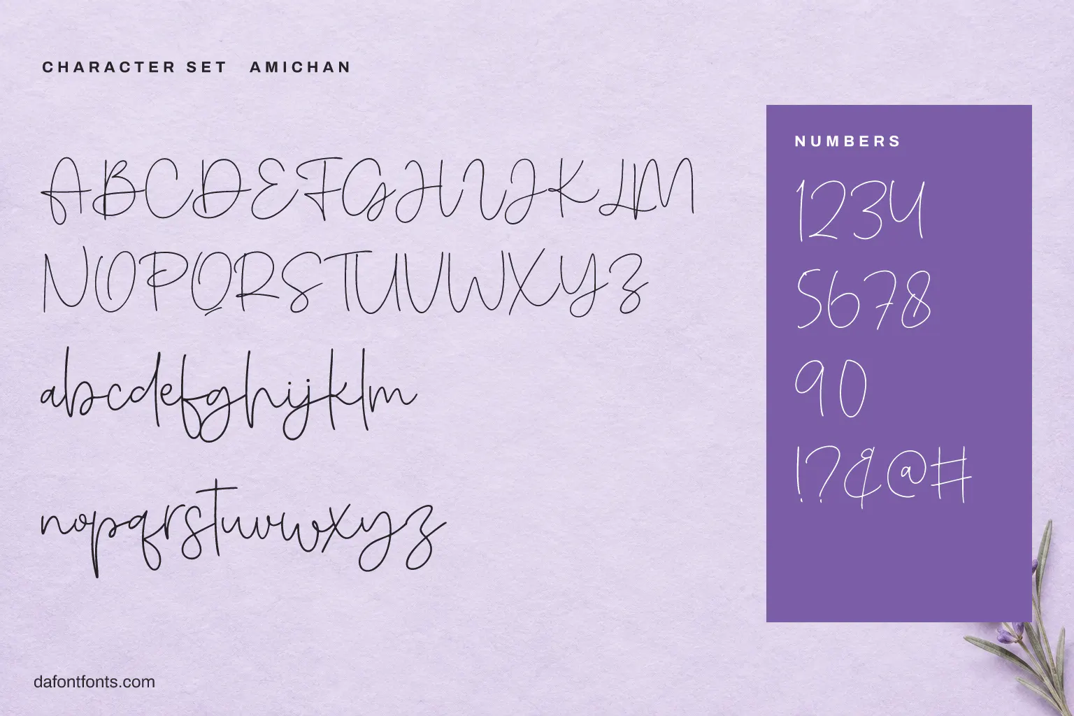 Amichan character set: alphabet, numbers and symbols
