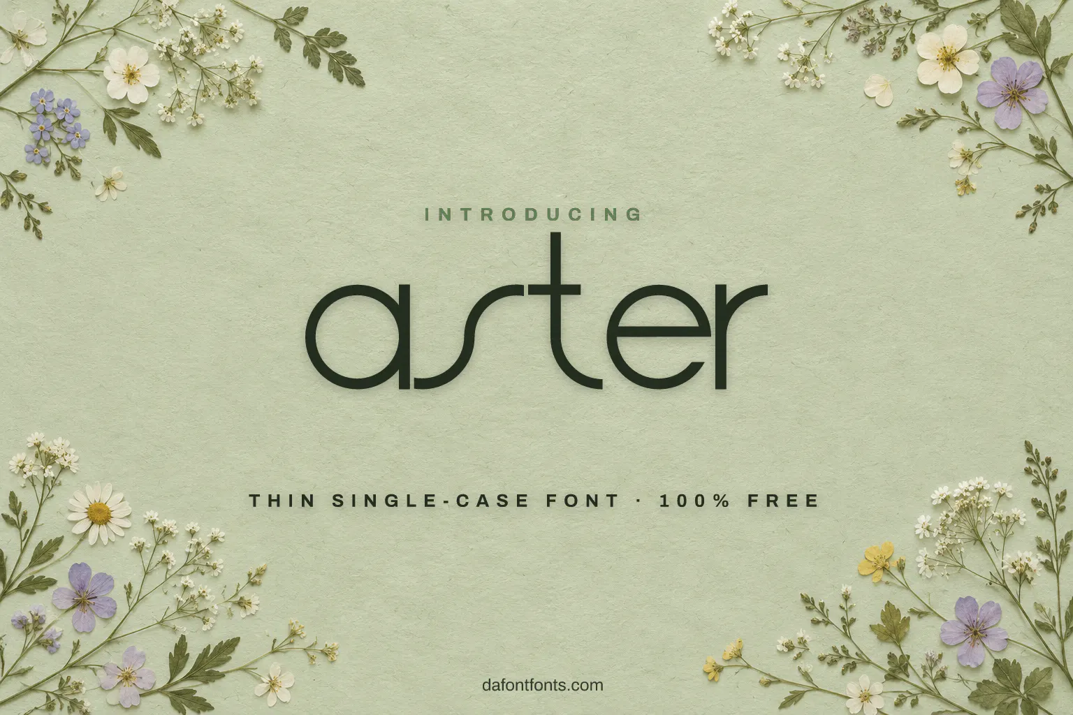 Aster font poster: thin round letters on a pale green background with flowers