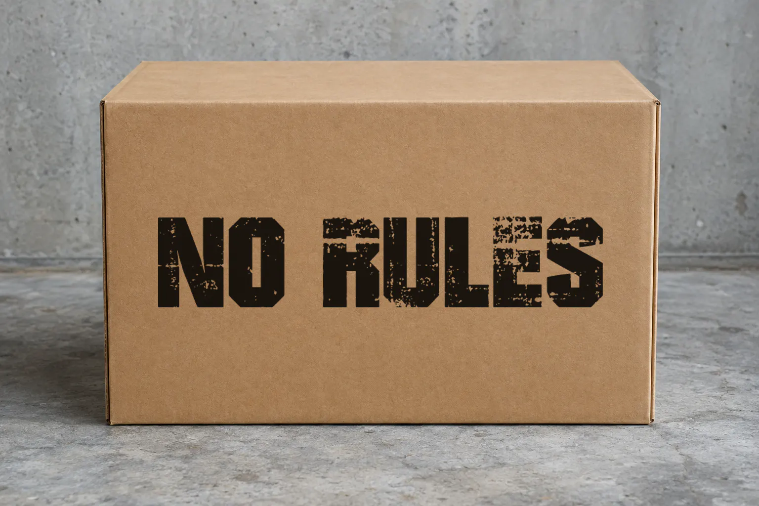 Bad Grunge font on a cardboard box reading NO RULES