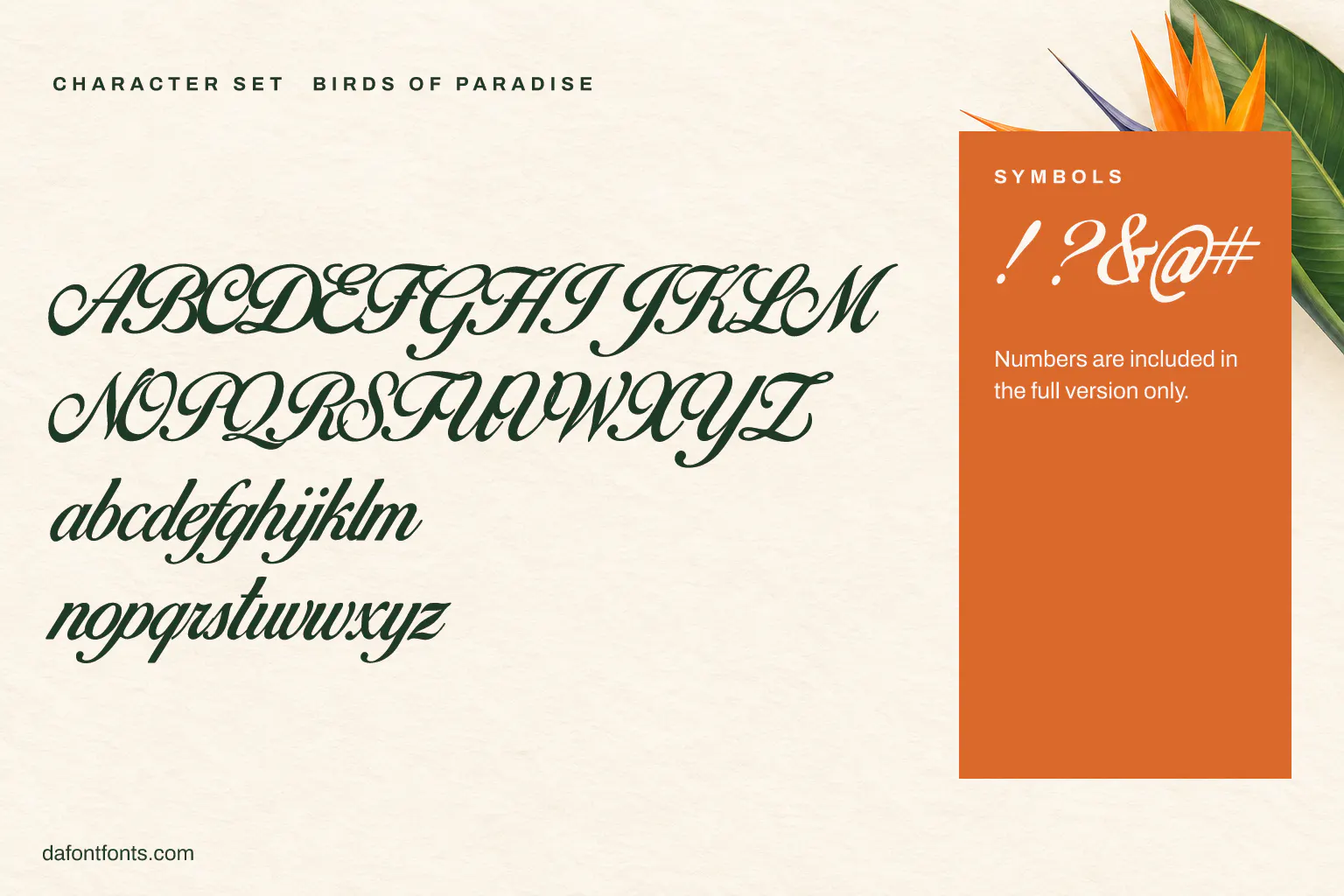 Birds of Paradise character set: capitals, lowercase and symbols (numbers are in the full version only)