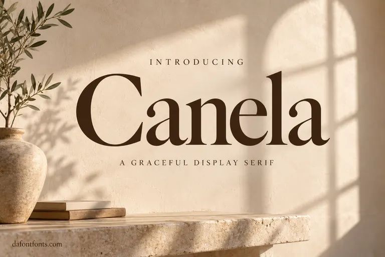 Canela font poster: elegant Canela headline on a warm beige background with soft shadows
