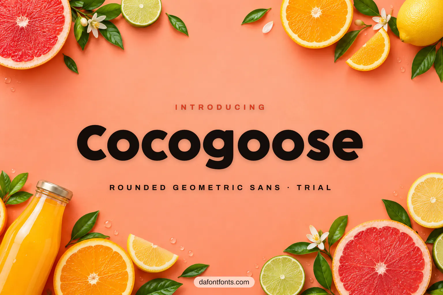 Cocogoose font poster: bold black rounded letters on a soft coral background with simple shapes