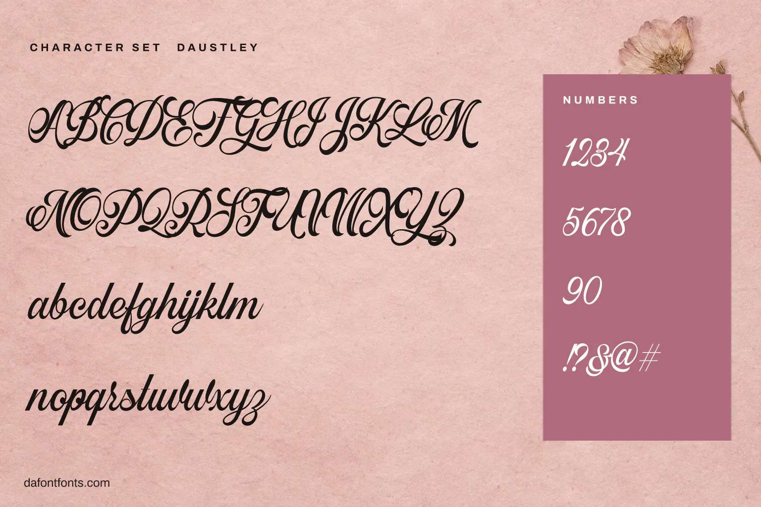 Daustley character set: alphabet, numbers and symbols