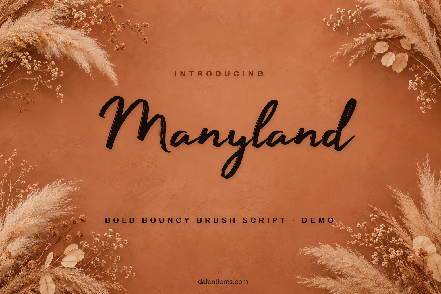 Manyland font poster: black brush script on a warm terracotta background with dried flowers