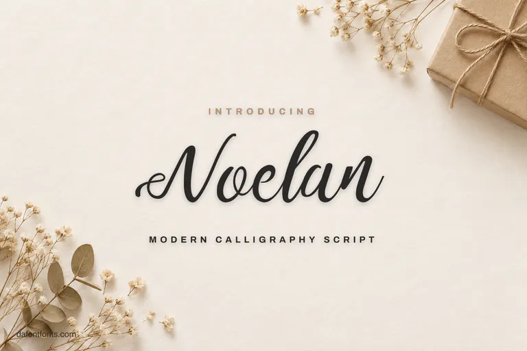 Noelan font poster: dark calligraphy on warm white with a kraft gift box