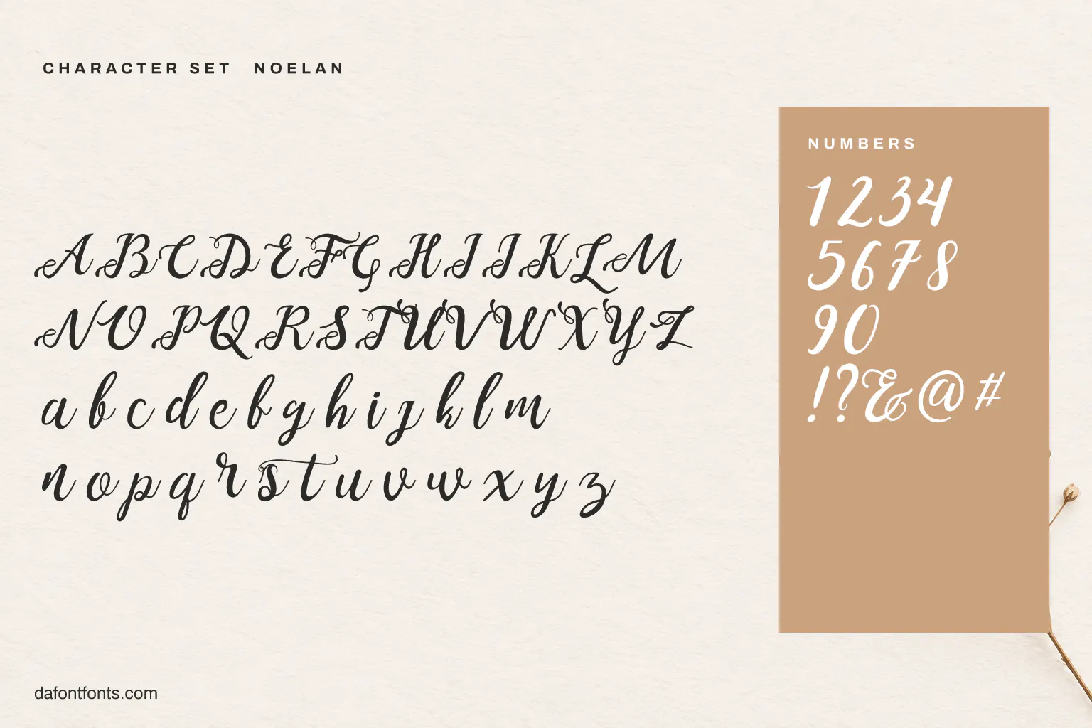 Noelan character set: alphabet, numbers and symbols