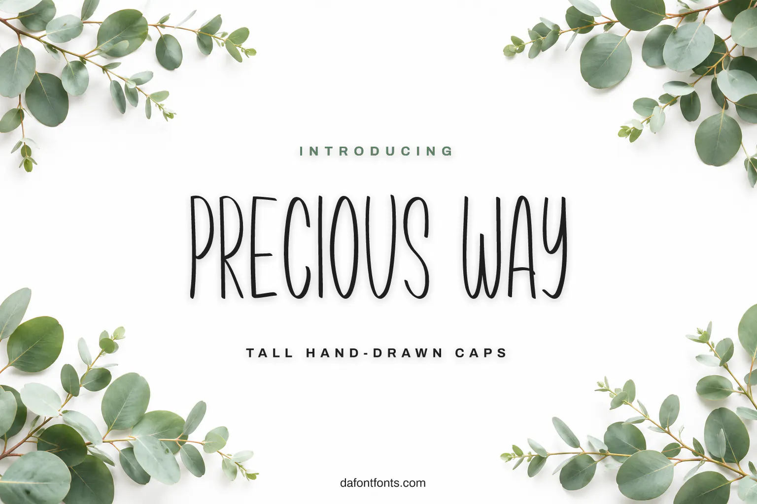 Precious Way font poster: tall thin black capitals on white with eucalyptus leaves