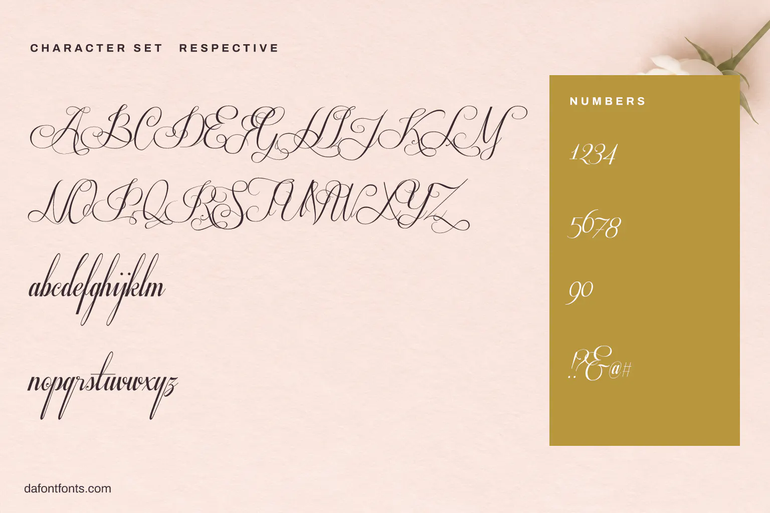 Respective character set: alphabet, numbers and symbols