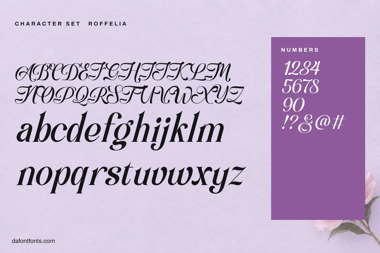 Roffelia character set: alphabet, numbers and symbols