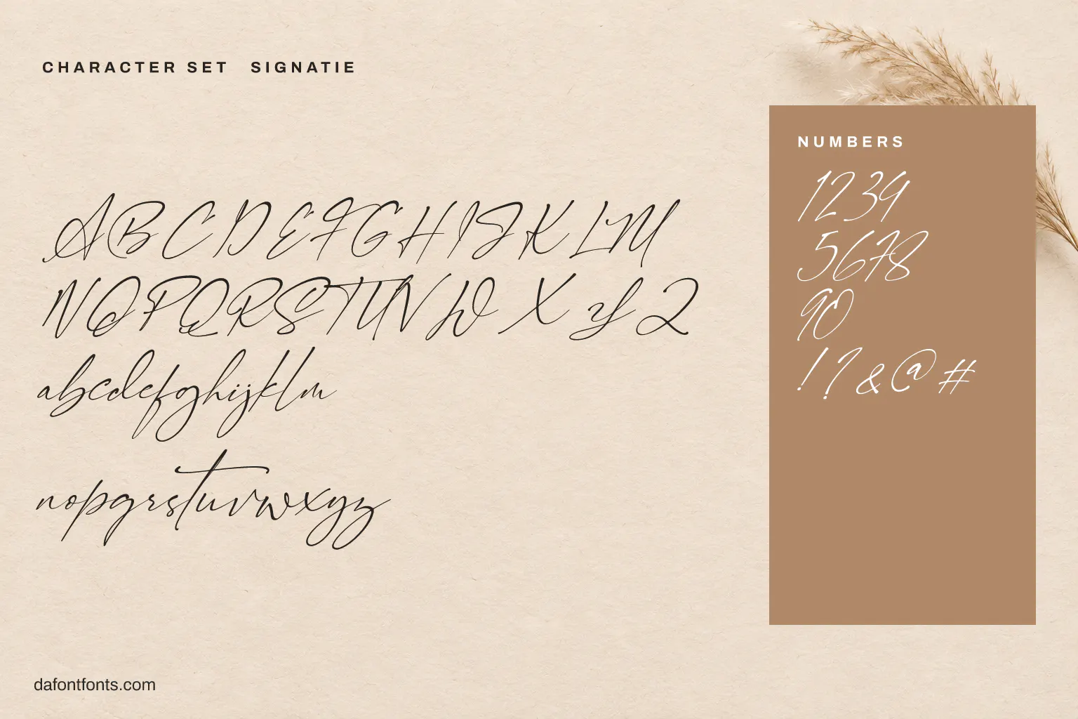 Signatie character set: alphabet, numbers and symbols