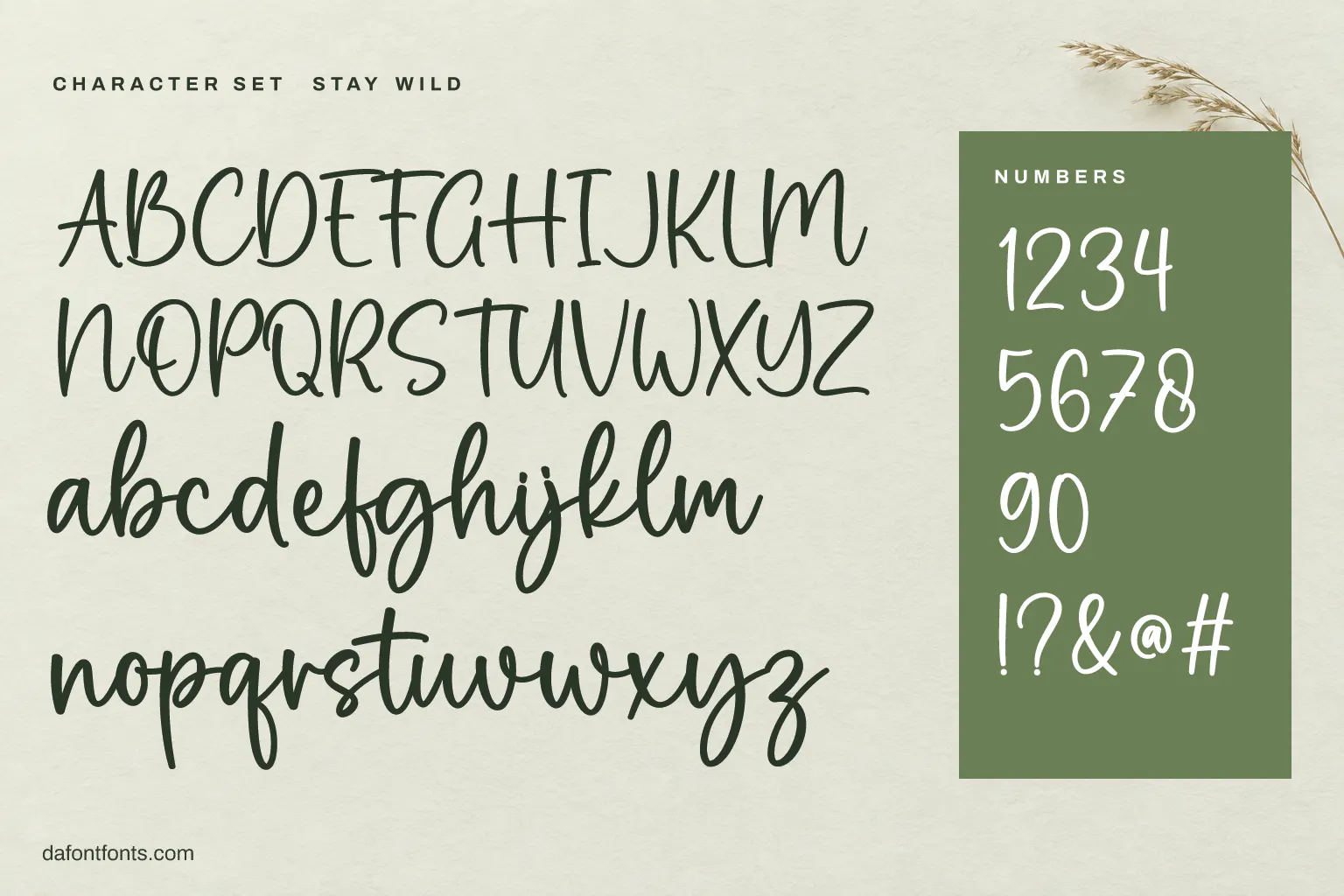 Stay Wild character set: alphabet, numbers and symbols