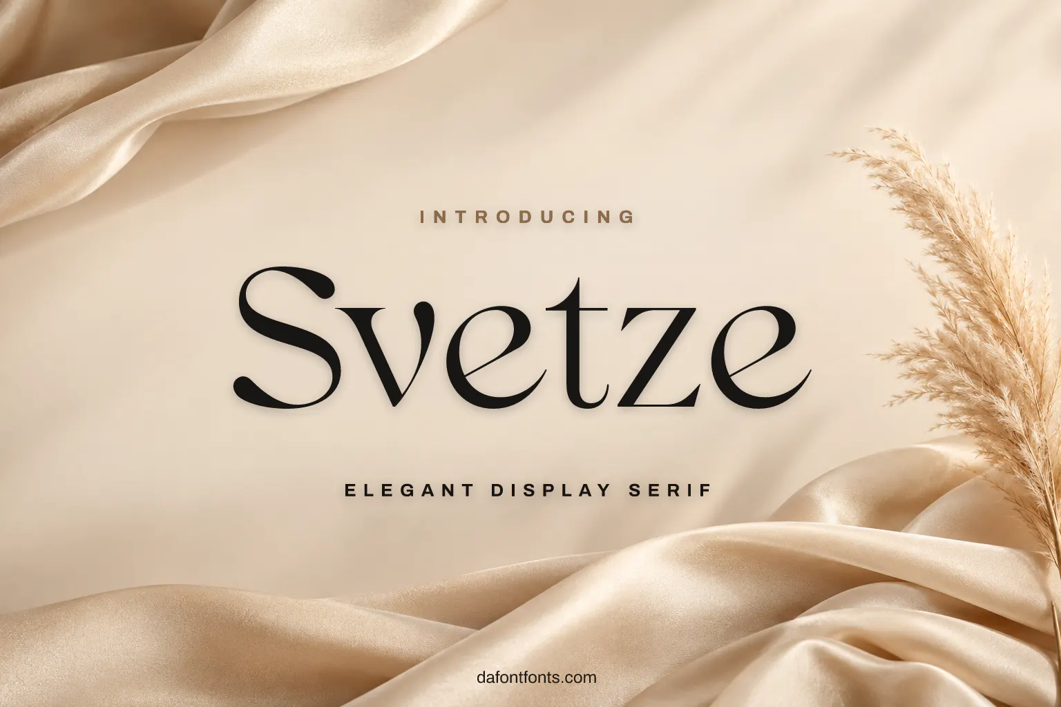 Svetze font poster: black serif on a beige silk background with dried pampas