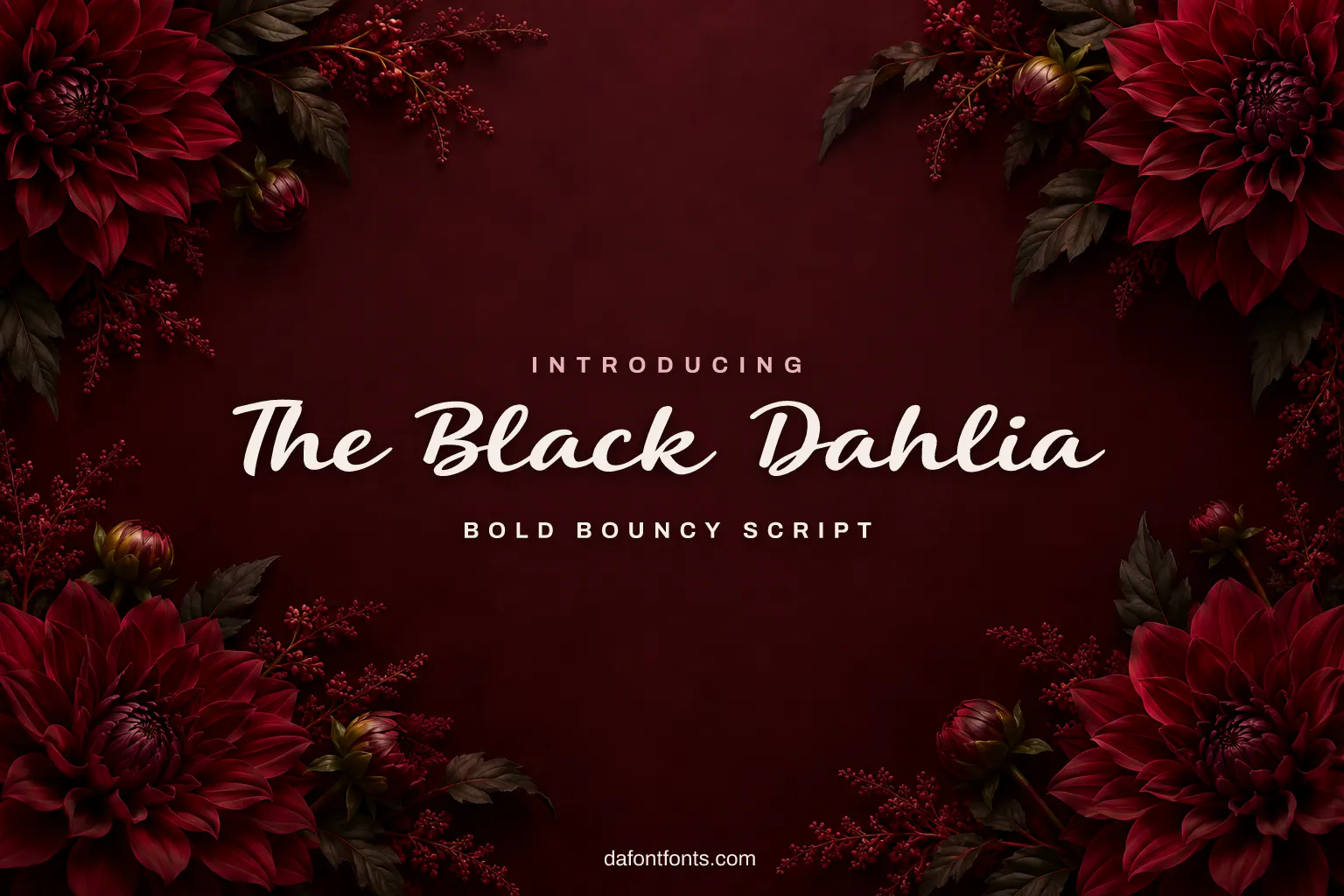 The Black Dahlia font poster: black script on a deep burgundy background with dark dahlia flowers