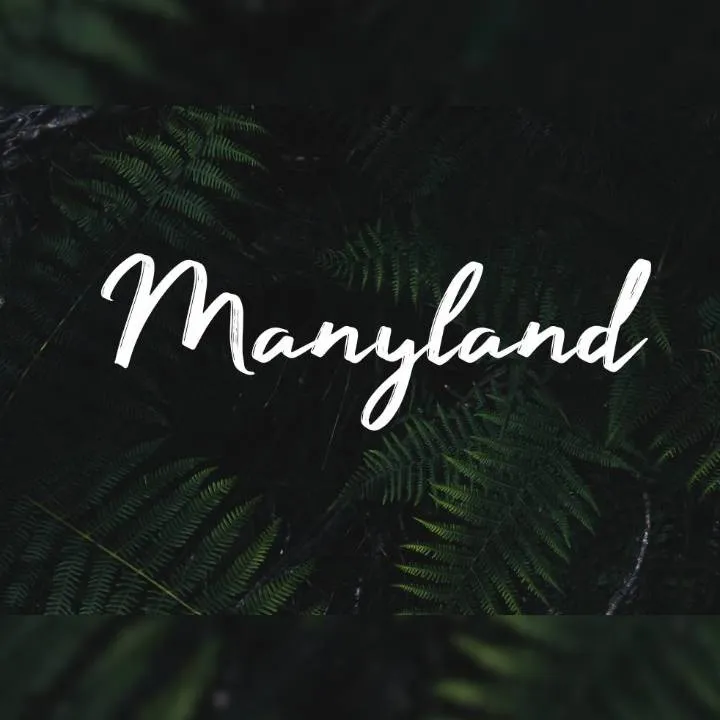 Manyland Font